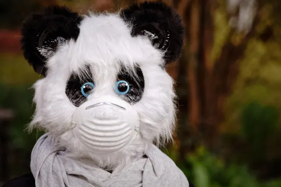 BigAzart Casino Podrška